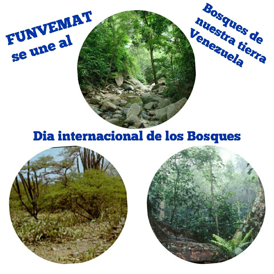 funvemat tweet picture