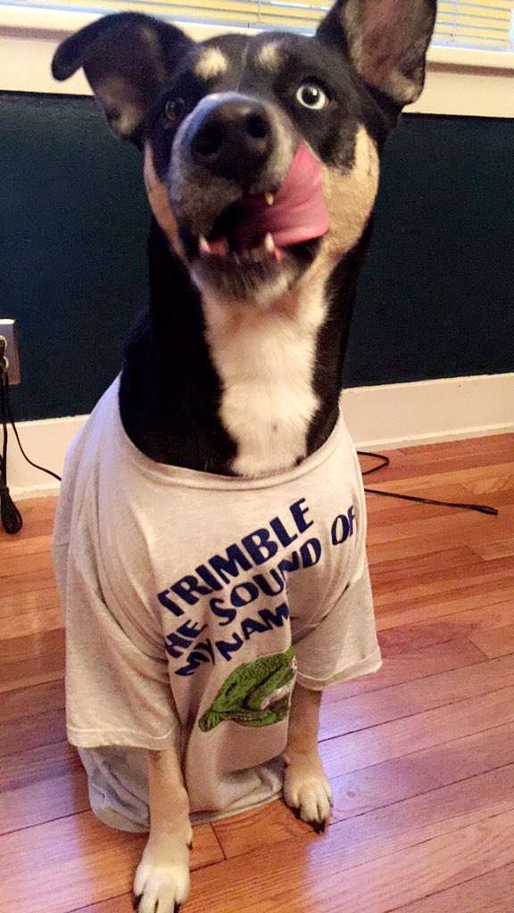 WhitneyNicoleW's tweet photo. @Brock197 @laineyjd my pup likes to wear clothes https://t.co/7s7Uglr0nO