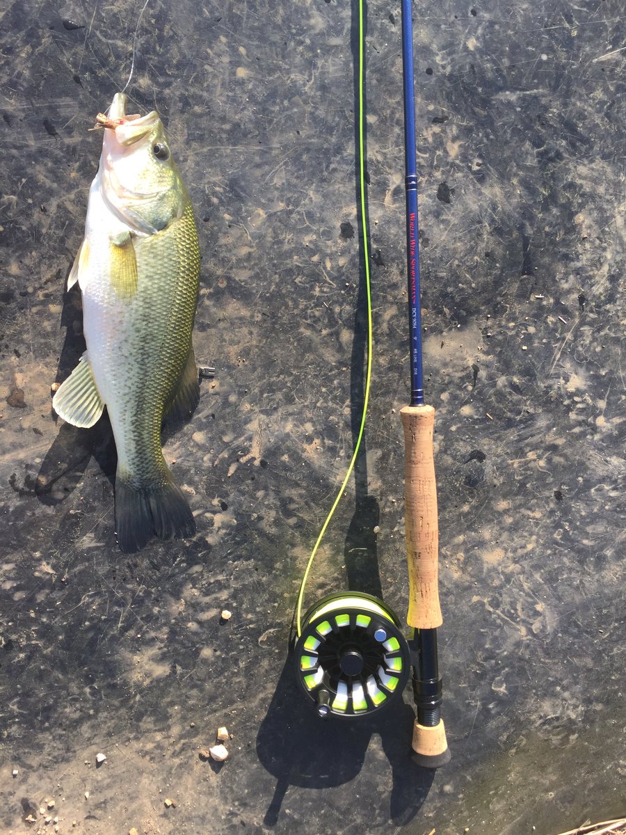TXBassLife's tweet photo. Small one on the fly today with @Texashunter11 🎣 https://t.co/PeQXCkSk2A
