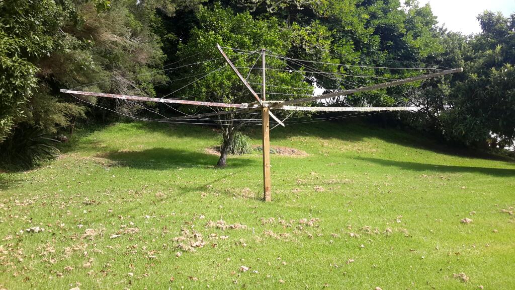 TJBoonieWN's tweet photo. Who didn't learn to walk on stilts under one of these #adventuresofjaneyandboonie #Rawene #WhyNorthland https://t.co/2ao9Fq3I0z