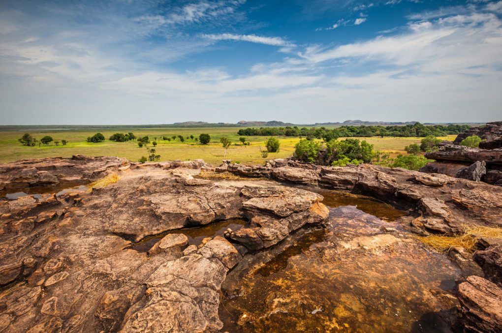 Places Journal tweet media