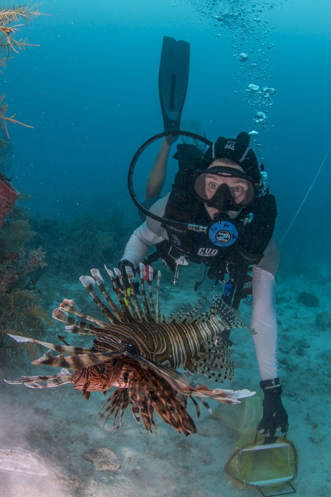 BiscayneNP's tweet photo. Discover a whole new species at Biscayne National Park. Expect it to be an adventure of a lifetime. Photo Cred: NPS https://t.co/zzDkYRbPTd