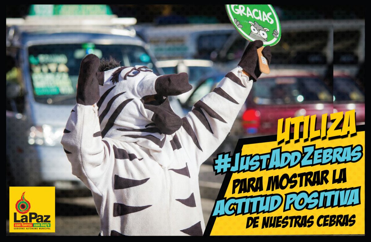 BeatrizCahuasa1's tweet photo. Las cebras se convierten en sensación a nivel internacional https://t.co/PQi8ylEDz9 @LaPazAlcaldia #justaddzebras @ https://t.co/5i3y3E07r1