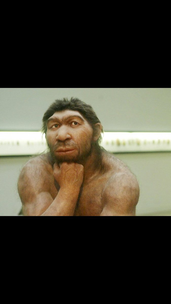 MattMapbio's tweet photo. Me trying to figure out how to balance studying for my upcoming bio test with MMM
#2017MMM @Mammals_Suck https://t.co/NNU1neYLK5