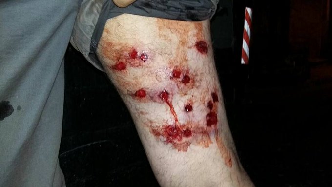 View image on Twitter