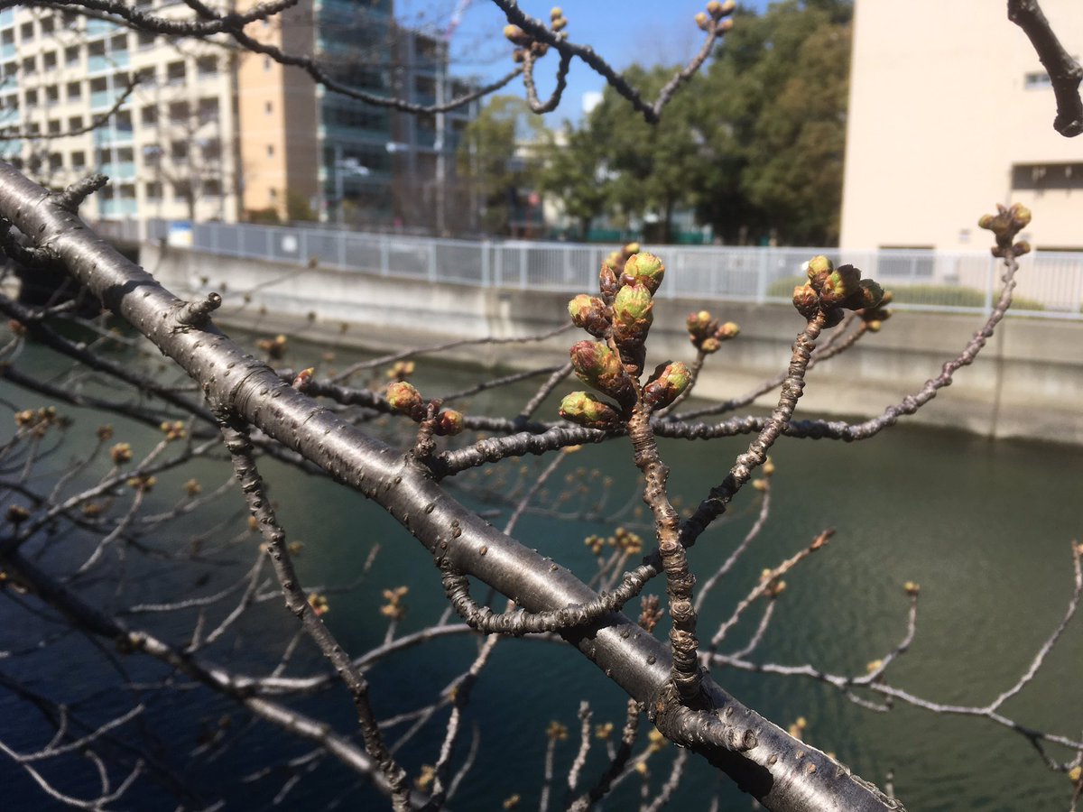 unithe_jp's tweet photo. 新しいティー体験は四季の移ろいで感じるインスピレーションをお茶を嗅いだり、飲んだりする時に膨大なじぶんの引き出しからよびおこし、体感することが、その体験になるのかもしれません。#tea #新しいティ体験 #ウニテ #unithe #清澄白河 https://t.co/otlL1VkbBr