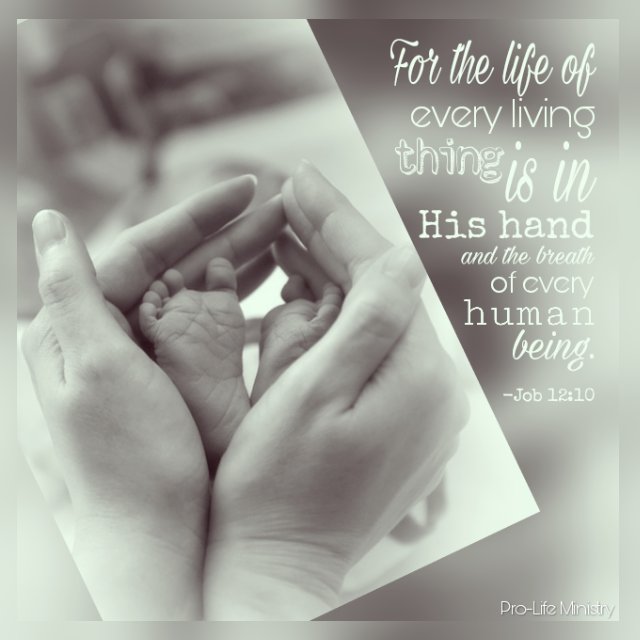 pro_life_min's tweet photo. https://t.co/FxCX7SxwIu