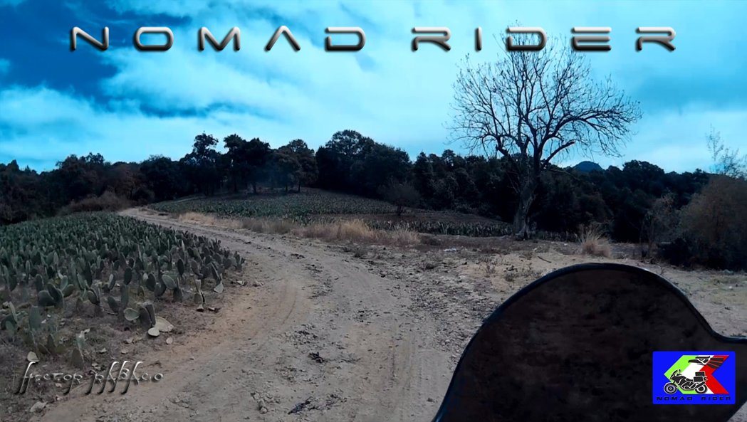 HECTOR RABAGO (@hector_rabago1) | Twitter