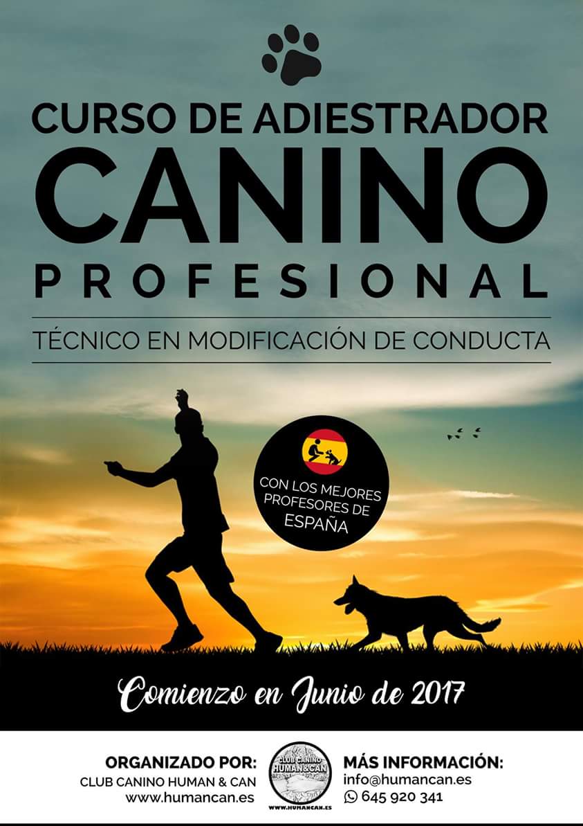 human_can's tweet photo. #curso de #adiestrador canino profesional y técnico en modf. de conducta.
Plazas limitadas. Lamejor #formación en #Sevilla con #HumanCan https://t.co/ZgnPe9SY9k