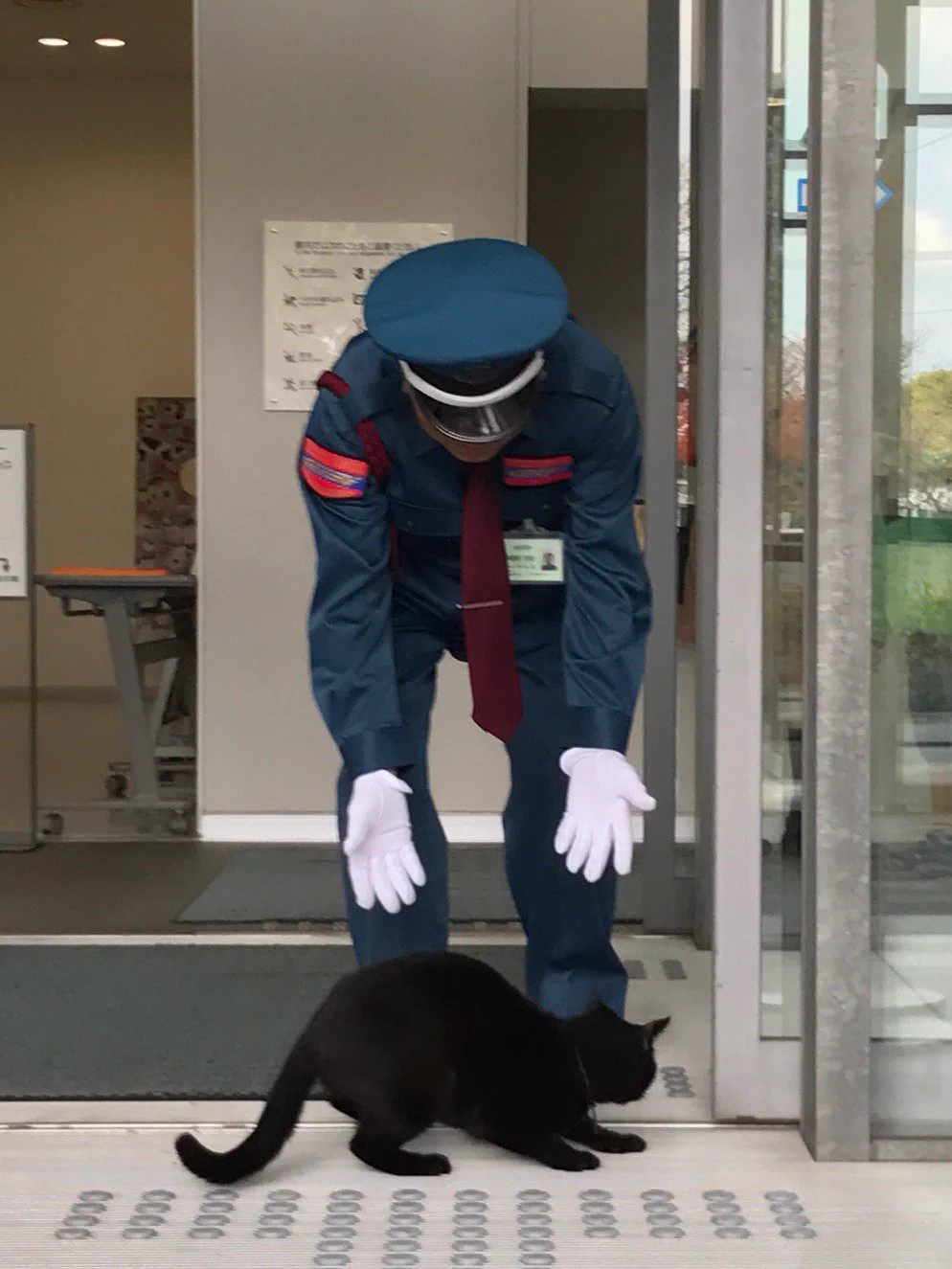 警備員と猫の戦いｗｗ警備員の勝利みたいですｗｗｗ
