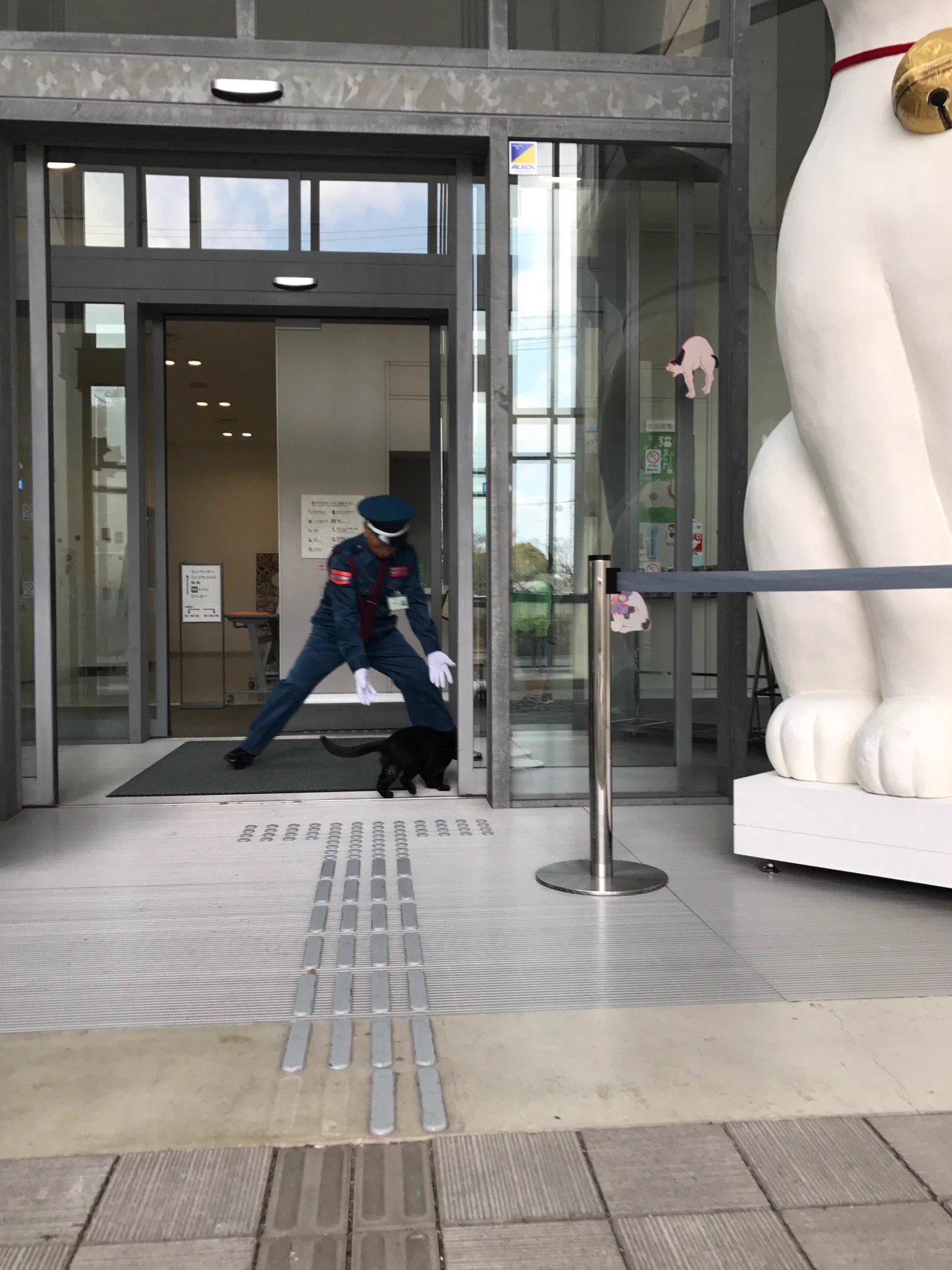 警備員と猫の戦いｗｗ警備員の勝利みたいですｗｗｗ