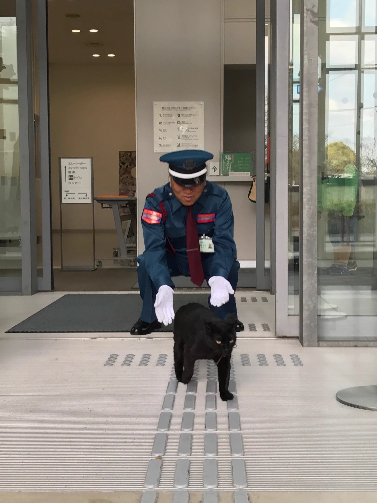 警備員と猫の戦いｗｗ警備員の勝利みたいですｗｗｗ