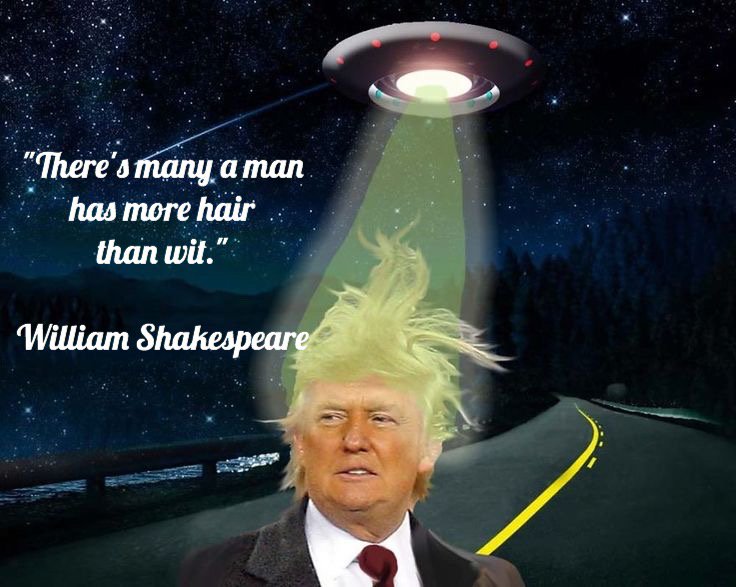 jarrahdale1's tweet photo. #witless #trump #idiot #mentallyill #narcissism #foolish #hairstyle #beamhimup #takehimaway #notfitforjob #deranged https://t.co/g8Nzy26nWg
