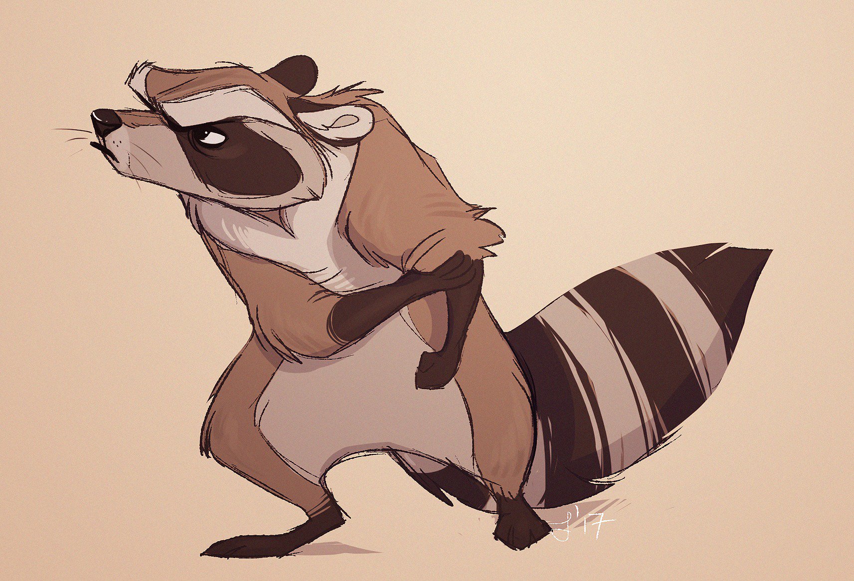 “angry little raccoon dude ready to kick some major ass” .