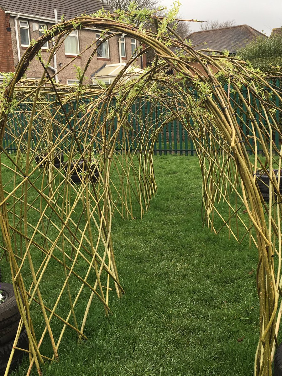 NCEAChaplain's tweet photo. #JamesKnott garden growing by the minute @gnecIT @Tesco_North #Bags4Life @primarydirector @ExecDirNcea Thanks to Jane our gardener https://t.co/J2tHTgqLJT