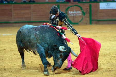 Varea: "Ver que eres capaz de estar a la altura de una corrida como Victorino, me llena de moral" aplausos.es/noticia/38383/…