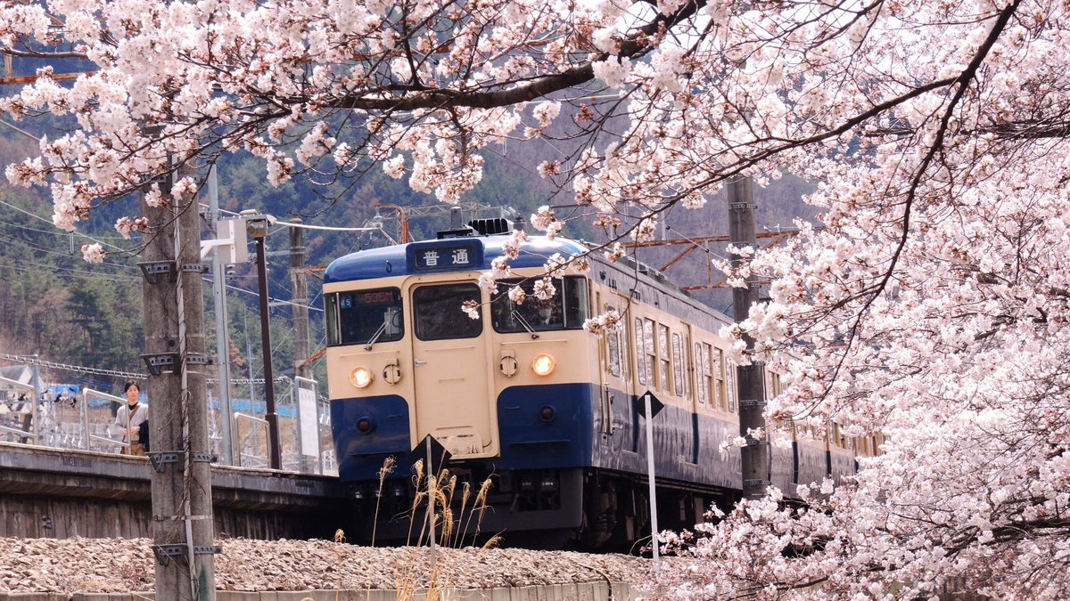 wecelnimo's tweet image. You vs the train she tells you not to worry about #Traintwitter