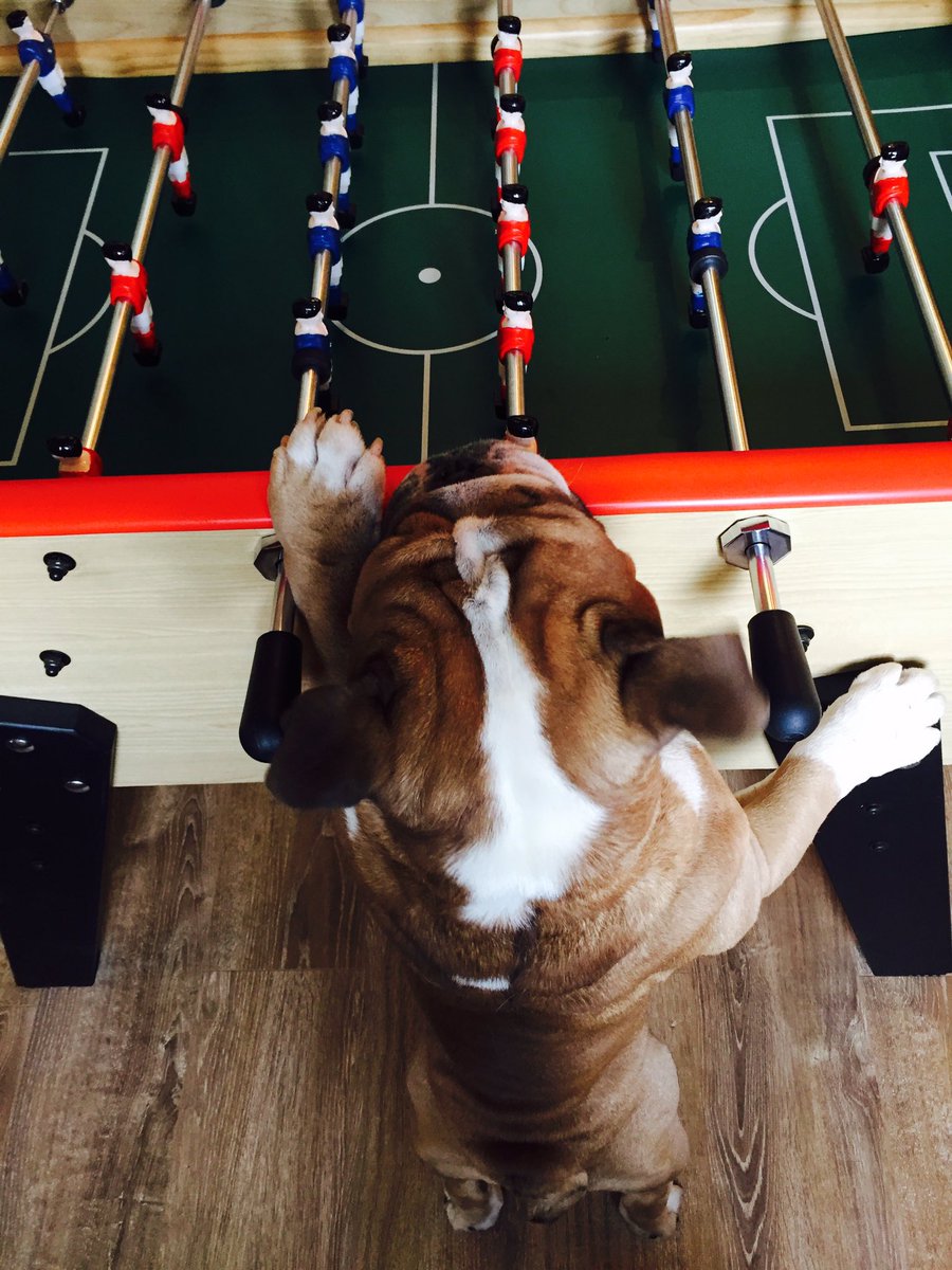 enderbyPPL's tweet photo. #Hector on a dit pas de roulettes! #Babyfoot @enderbyPR https://t.co/f0u7qOtPLQ