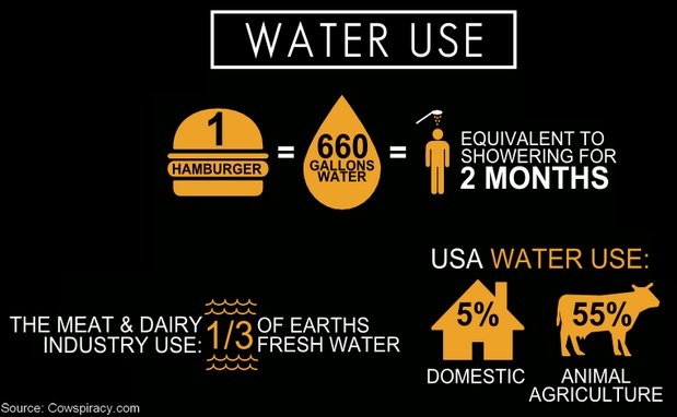 VeganWiki's tweet image. The Milk &amp;amp; Dairy Industry use a third of the Earths Fresh Water #worldwaterday #BeVegan #GoVegan