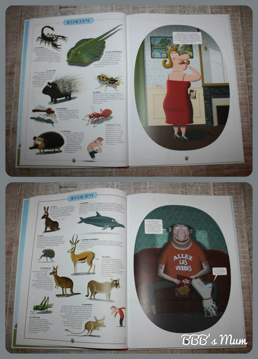 bbbsmum's tweet photo. Le grand Livre des animaux de Pronto #pronto #delamartiniere #dlmj #chutlesenfantslisent… https://t.co/q1Mb6WFN2b https://t.co/DImyAI1e22