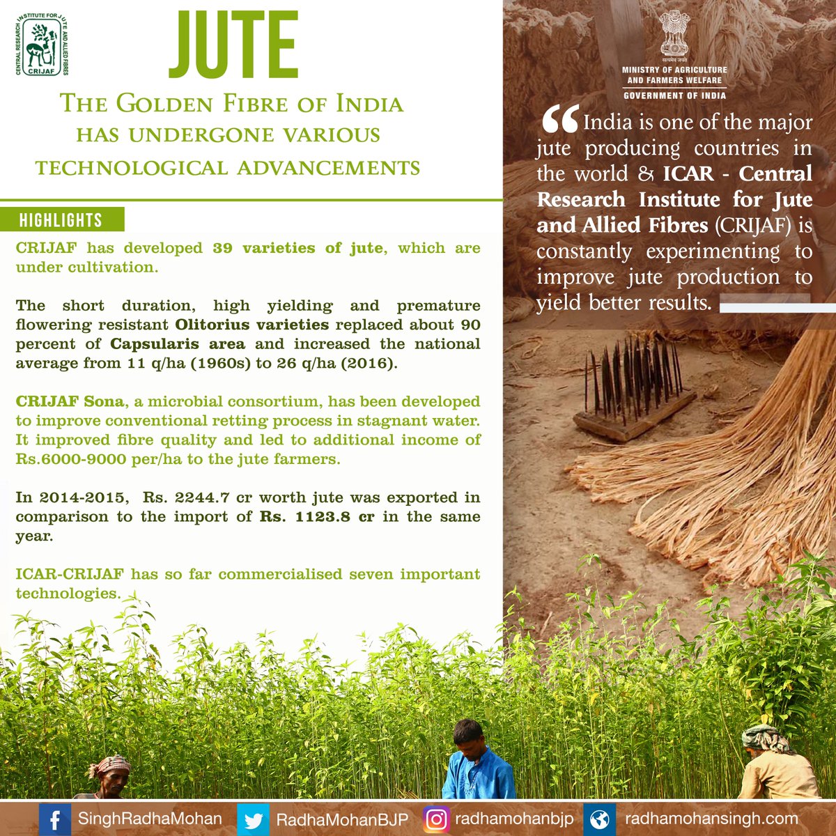 😊 Jute production. Top 10 Largest Jute Producing Countries In The World
