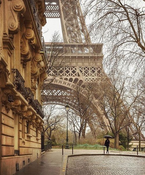 BianchiNRoma's tweet image. What is a good day?
One where you wake up
&amp;amp; the desire to move forward
is stronger than the temptation
to look back...