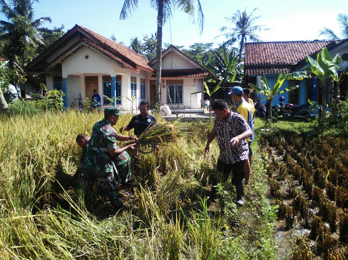 Korem 071/WIJAYAKUSU tweet media