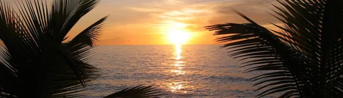 Uniqueness of the #Caribbean #winter buff.ly/2nFQCpL