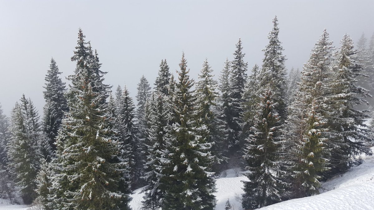 Dre (@boventjes) on Twitter photo 