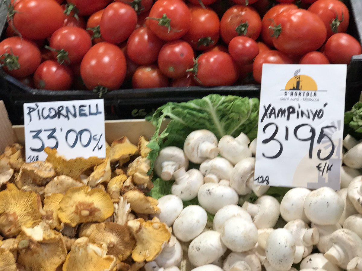 #picornells i #xampinyons al <a href="/mercatdinca/">ᗰᗴᖇᑕᗩ丅 ᗪ’Ꭵᑎᑕ🏃‍♀️</a> <a href="/MercatOlivar/">Mercat de l'Olivar</a> i <a href="/MercatSantaCata/">MercatSantaCatalina</a> <a href="/AldiaIB3/">Al Dia IB3</a> <a href="/RafelGallego1/">Rafel Gallego</a> <a href="/DelCampALaMar/">Del Camp a la Mar</a> <a href="/TuitInca/">Tot d'Inca</a> #mallorca