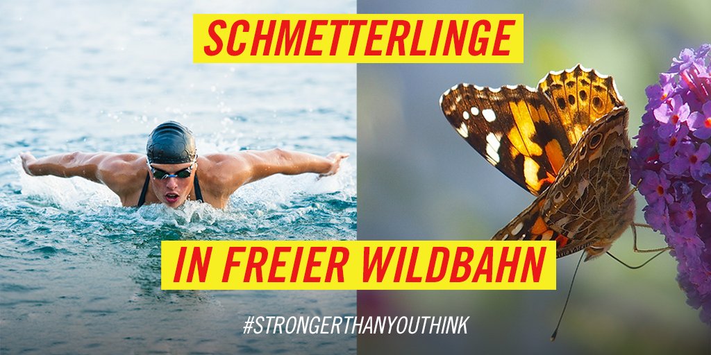 Zwei Prachtexemplare.