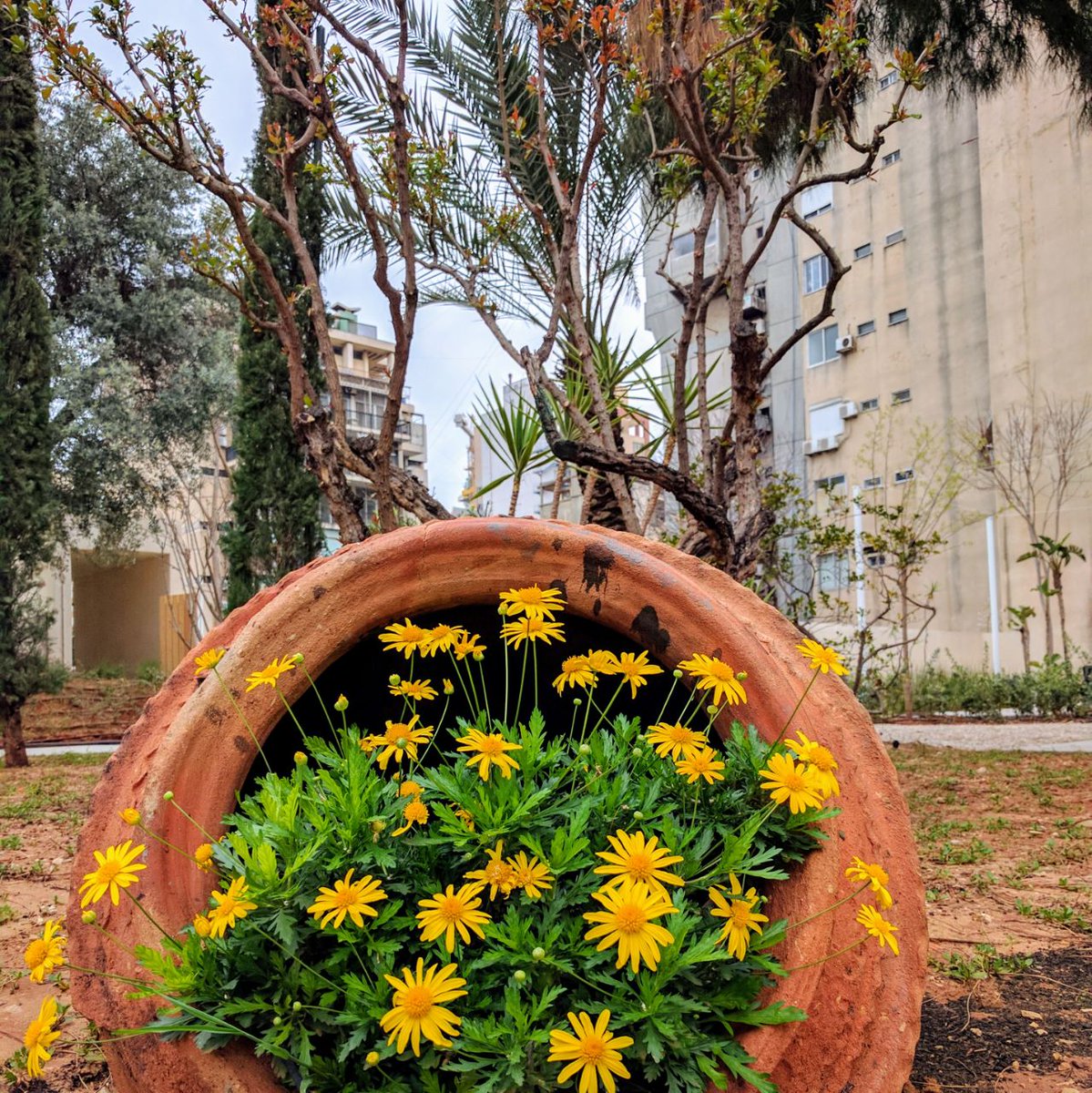 antwork's tweet photo. Ray of sunshine in our garden on this first day of spring. #hellospring #antworkcampus #workcloud #independentworkforce #beyondcoworking https://t.co/EpAv4xlTqz