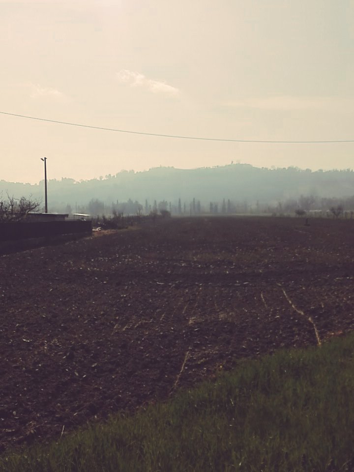 CrFiori's tweet photo. Solo "CAMMINANDO" A TESTA ALTA PUOI VEDERE COSA  TI ASPETTA ALL'ORIZZONTE!....una "bestia"da domare!!!
@AISM_onlus @giov #sclerosimultipla https://t.co/rO7h583Fea