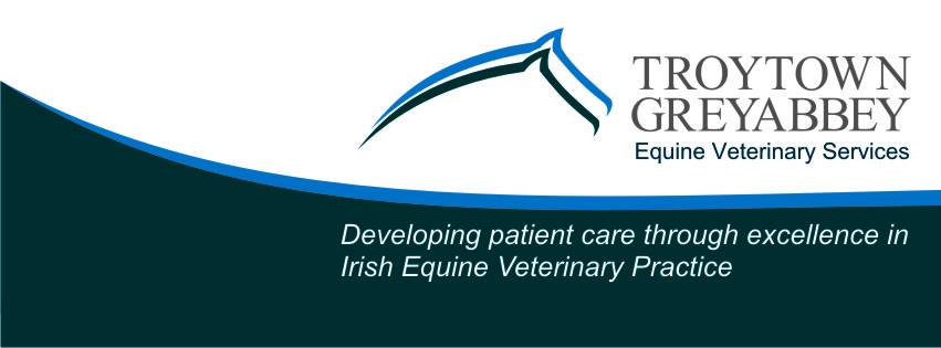 Lucky horses at <a href="/TTGAvets/">Troytown GreyAbbey</a> getting to use the new vibration floor <a href="/Vitafloor/">Vitafloor USA</a>