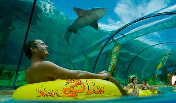 TaquillaCom's tweet photo. ¡El calor está llegando!☀ 🌴

¿Eres fan de los parques acuáticos?🌊 ¡¡Aquí tienes una recopilación de los mejores!! ➡️ https://t.co/DNTqubUCKA https://t.co/YIEOdvMZN2