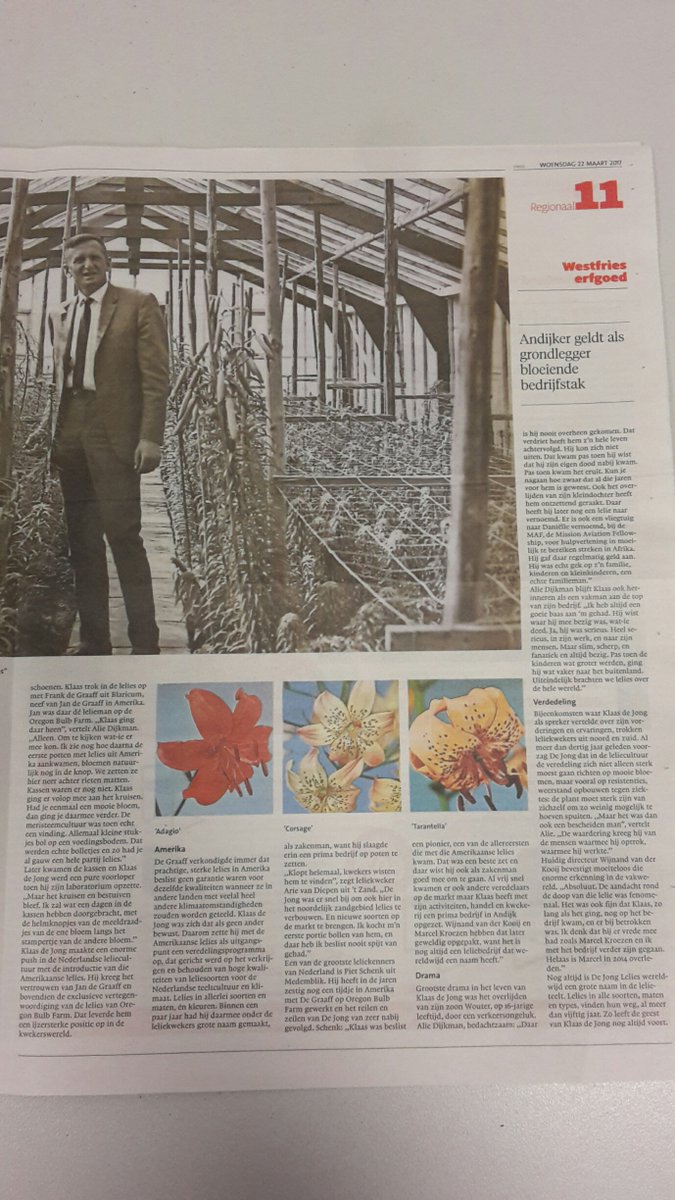 In de Enkhuizer Courant van vandaag staat een mooi artikel over onze oprichter Klaas de Jong; een groot pionier in de lelieteelt!