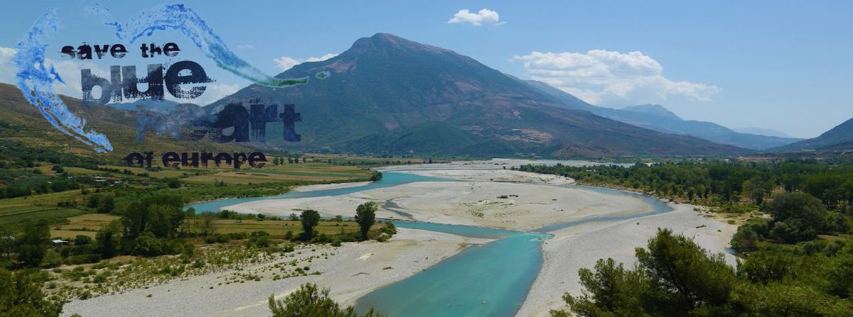 OhridSOS's tweet photo. For the Balkans' most precious natural resource on #WorldWaterDay:
#SaveBalkanRivers #SaveLakeOhrid
#SaveSkadarLake #AdriaticPledge https://t.co/lKH4jK2qRh