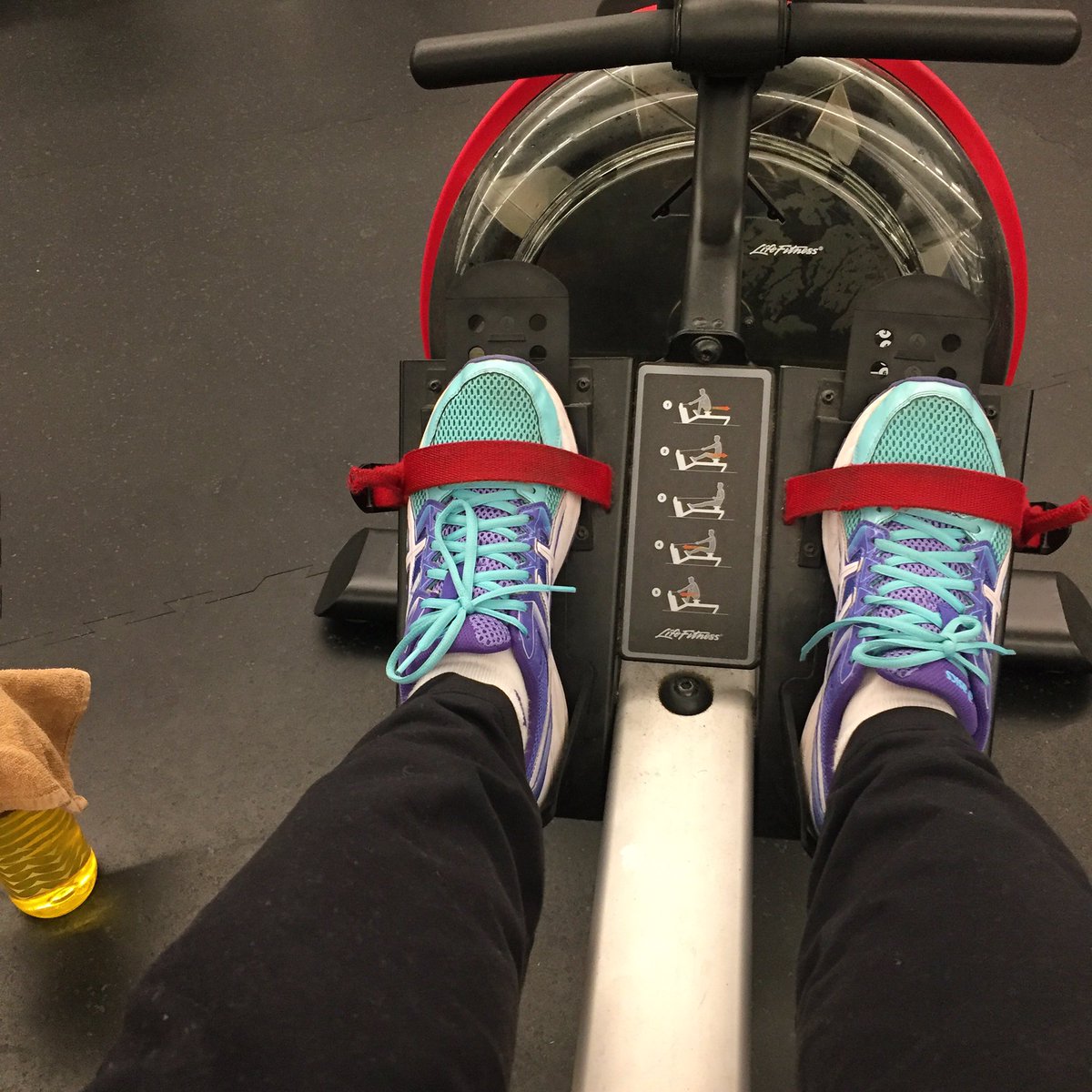 jodyquine's tweet photo. If I'm on the rowing machine but just siting here on social media... does that count? #workoutquestions https://t.co/pZiLkz3rpl