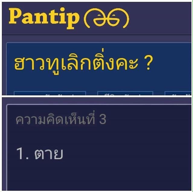 My Image 21