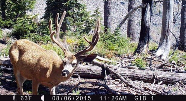 Shoot or pass? #TeamBTW