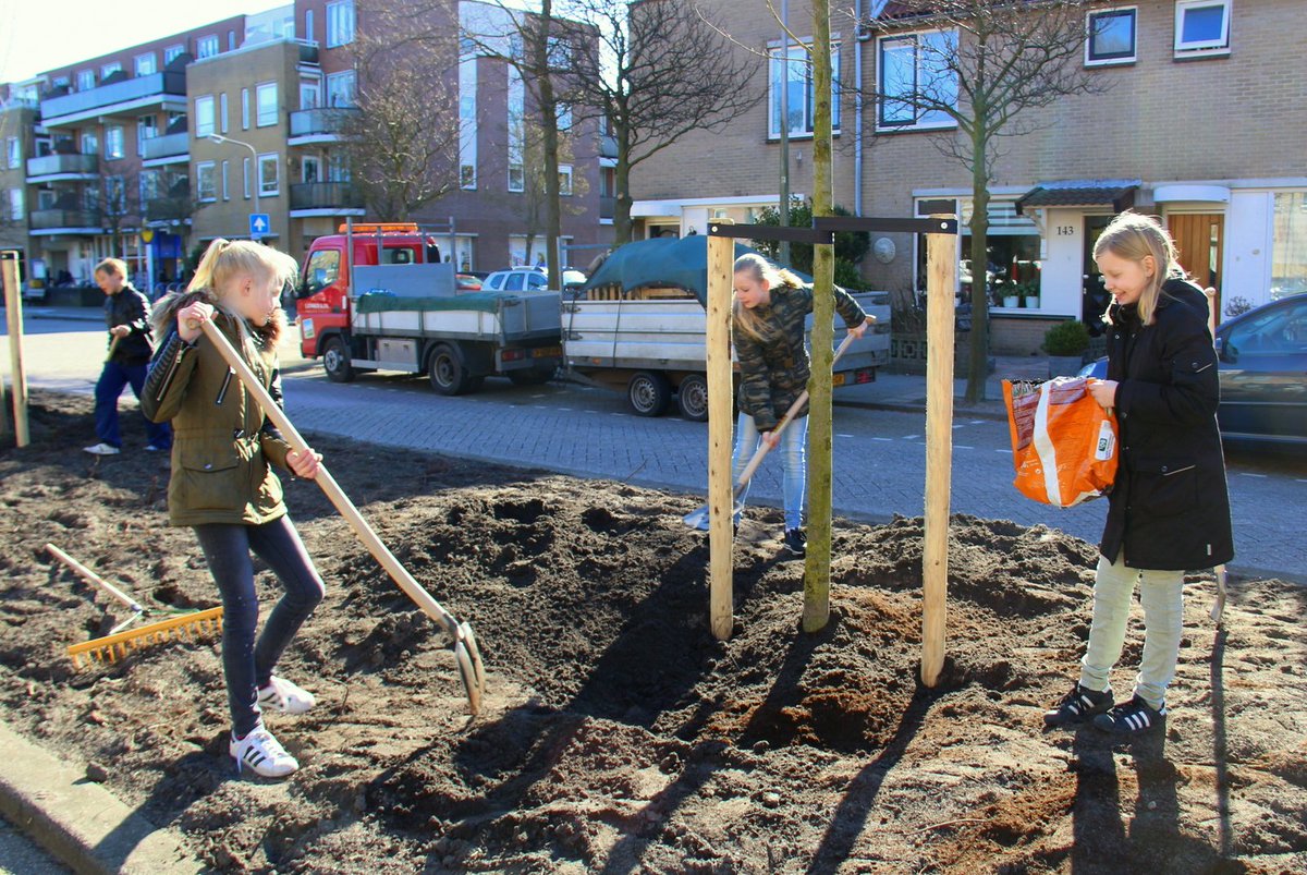 Mooi weer voor <a href="/Boomfeestdag/">Boomfeestdag</a>. In de #katwijk werden door leerlingen van de <a href="/brugghenschool/">brugghenschool</a> onder meer bomen geplant aan de Melkweg.