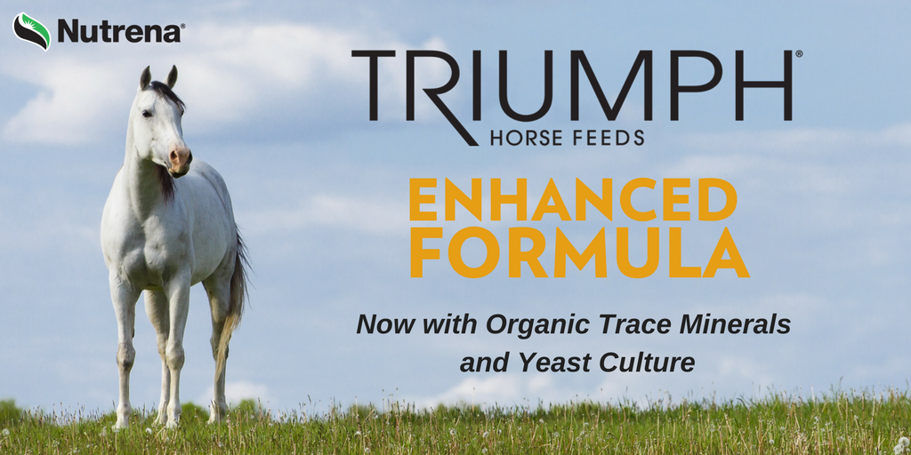 MorgantownAg's tweet photo. Triumph #horse feeds offer quality ingredients and added nutrients to support healthy digestion and performance. https://t.co/HiS9wygPou https://t.co/yLGpssJYvl