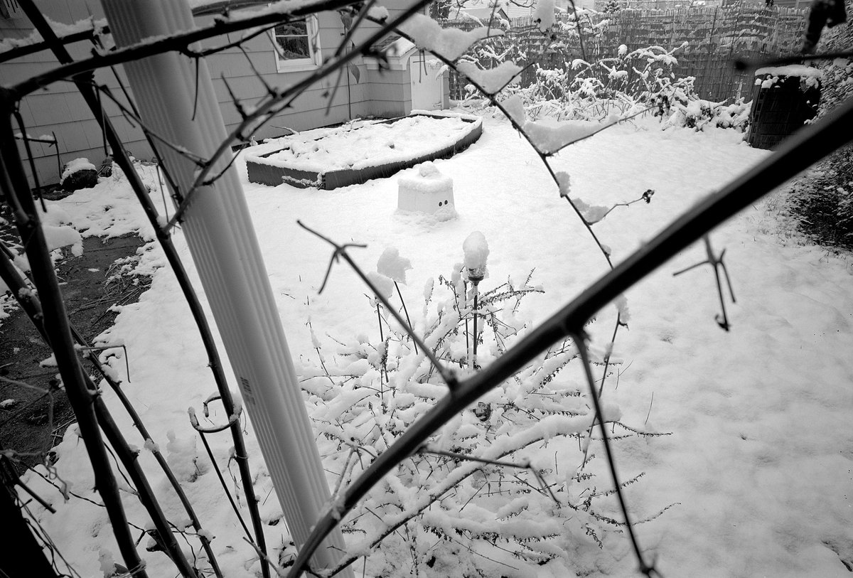ClickErik's tweet photo. @TMAX_party @EMULSIVEfilm @KodakProFilmBiz white stuff. #TMY2 #120film #pyrocat #TMAXParty https://t.co/tKMZyKAx99