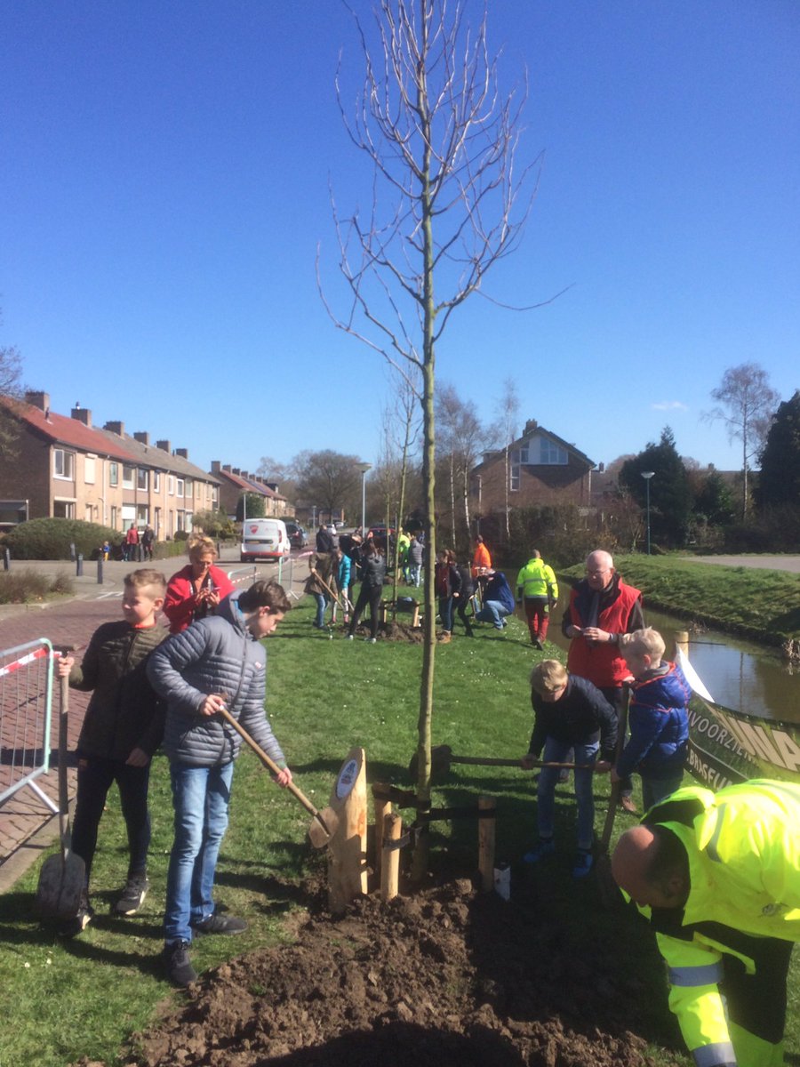 Nationale #Boomfeestdag. Oudste groepen #Rietvest #Klundert planten 13 bomen aan de Ambachtsherenweg. Naruurlijk werkt het weer dan ook mee!