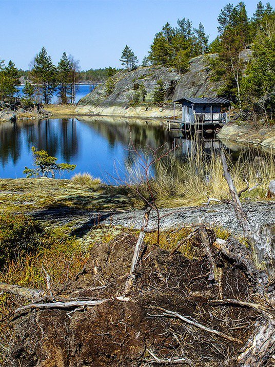 yappicom's tweet image. [避暑地の中に]の[「イノシシのこども」をさがせ!]に何が隠れてるか分からない…。誰かやってみて！ #どうぶつみっけ bit.ly/2mrWqSn