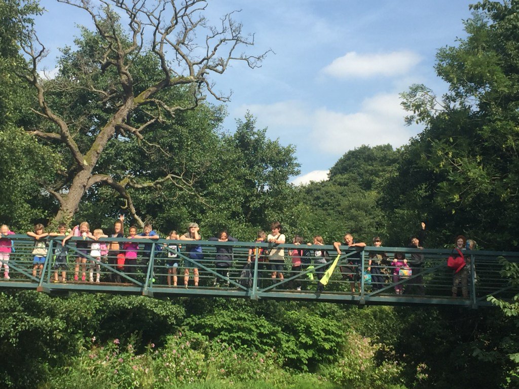 Rock Apes tweet media