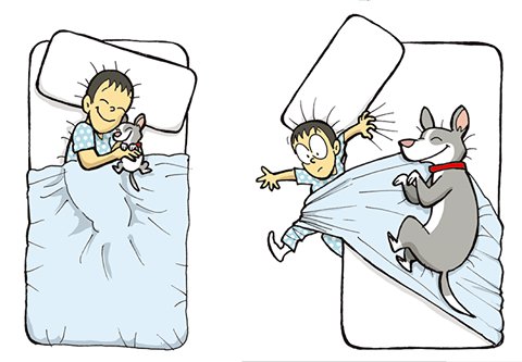 pets_celebrity's tweet image. #MiPerroTrueno Lanzamiento del primer libro sobre entrenamiento canino para chicos ! @miperrotrueno1 

facebook.com/miperrotrueno/…