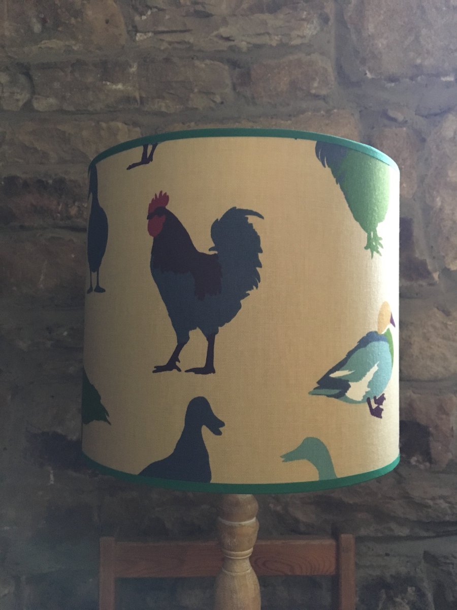 #duck #chicken #lampshades #handmade #springsale #leeds #ilkley 30cm diameter, now £20