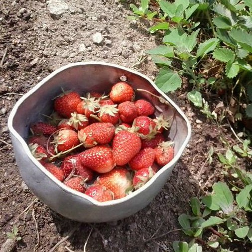 GuideMeRight's tweet photo. Benvenuta #primavera. Questa è la stagione perfetta per visitare un tipico #stazzogallurese #sardegna #localfriend https://t.co/CHxmBpUnvV https://t.co/IItjVjmFX0