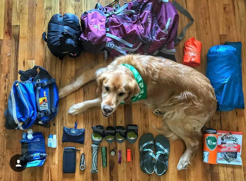 AdventureMutts's tweet photo. The best part about spring is seeing so many people getting ready to head out into nature … https://t.co/2CCjY6IH4d https://t.co/z7AW9u1Io8